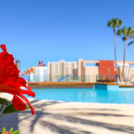 Relax In Paraiso プラヤ・パライソ エクステリア 写真