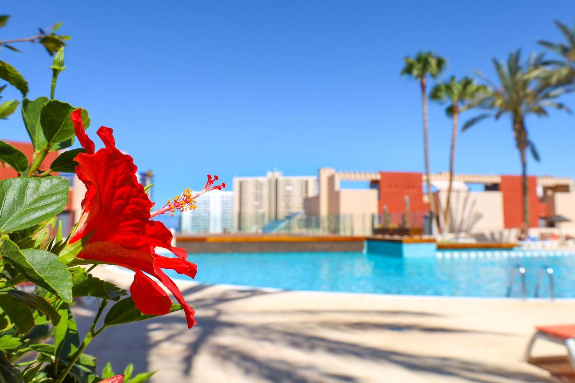 Relax In Paraiso プラヤ・パライソ エクステリア 写真